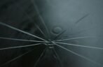 Windshield Repair vs. Replacement: A Dayton Driver’s Guide